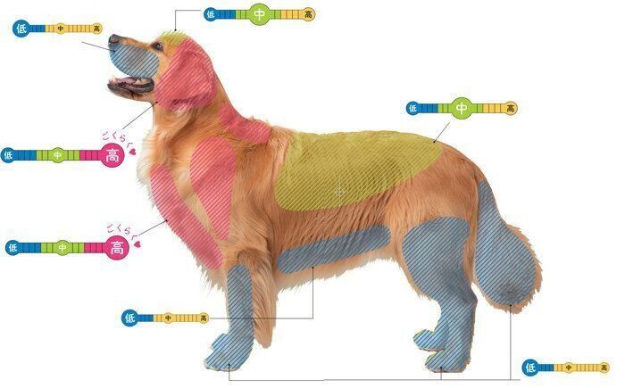 犬がなでられるとうれしい部位