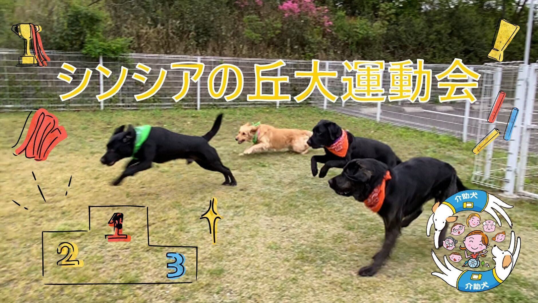 シンシアの丘大運動会