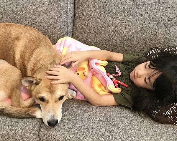 寄り添う子どもと犬
