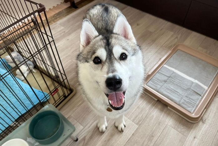 笑顔で見つめてくる茉莉ちゃん