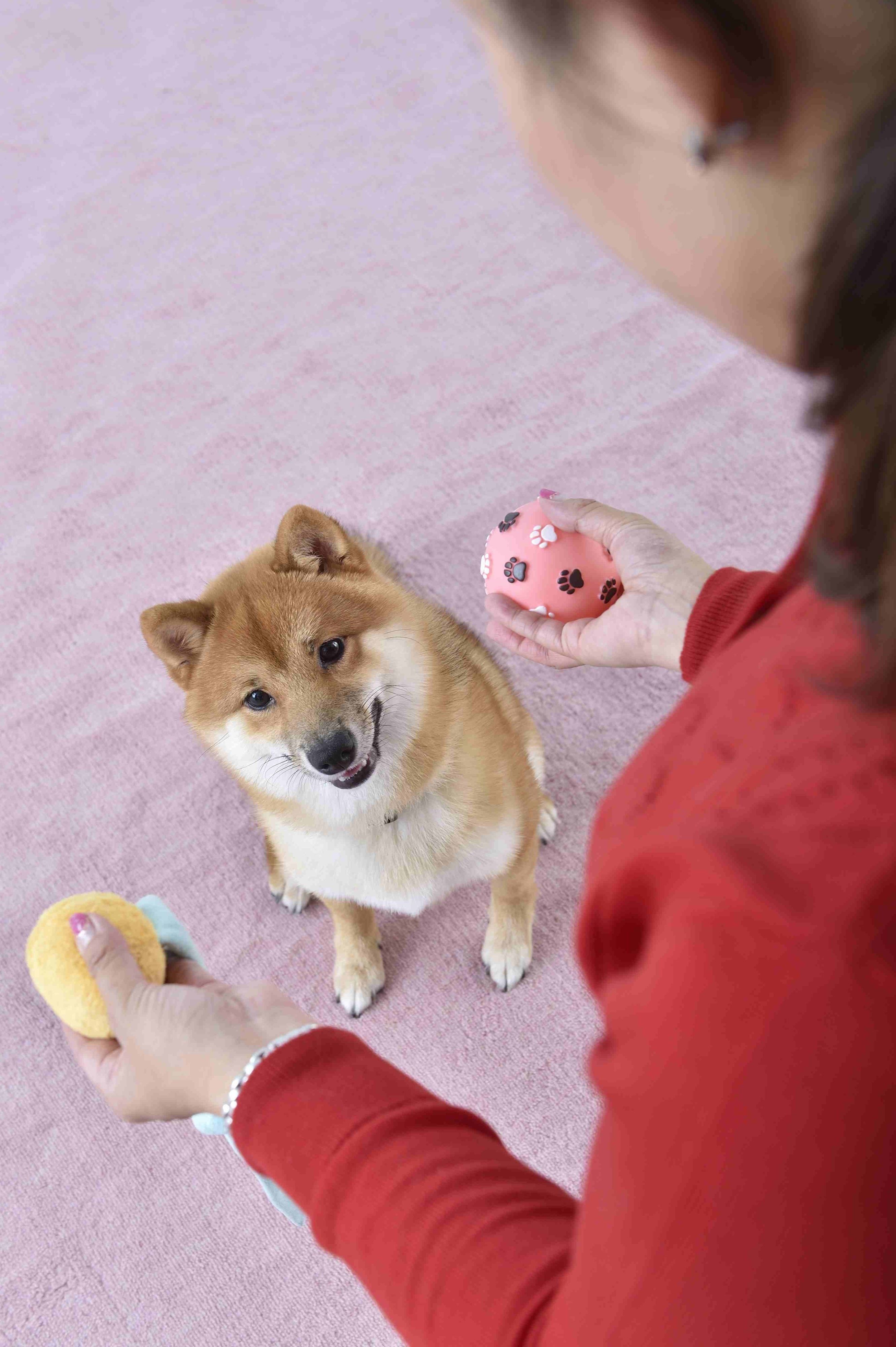 写真／佐藤正之