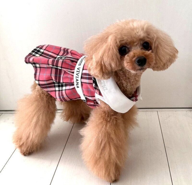 ReFa ファインバブルシリーズ　ReFa ファインバブル　柴犬　水嫌い　シャワーヘッド