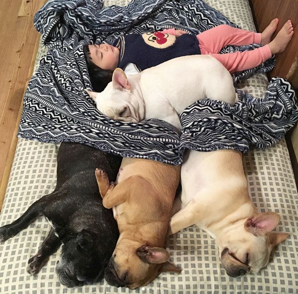 女の子といつも一緒にいるフレンチブルドッグ