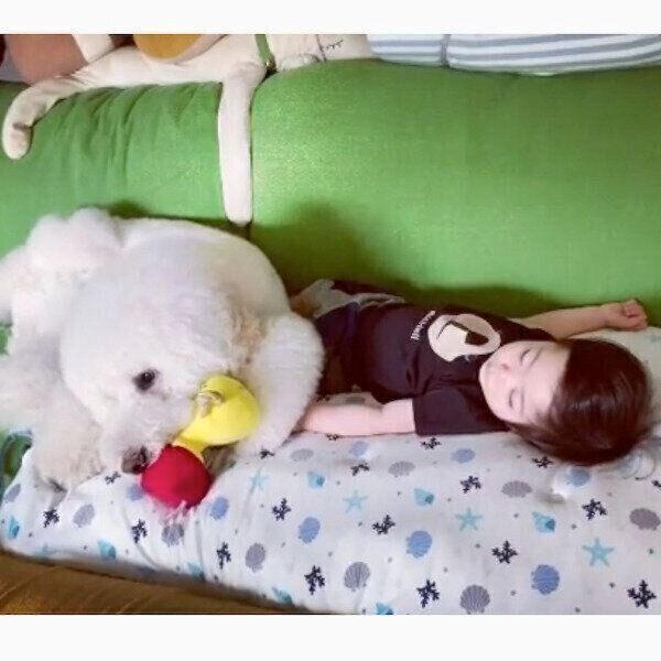 男の子・むぎくんのそばで遊ぶがっくん