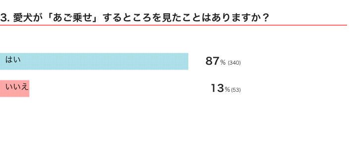 いぬのきもちWEB MAGAZINE　「犬飼いあるある」に関するアンケートvol.14