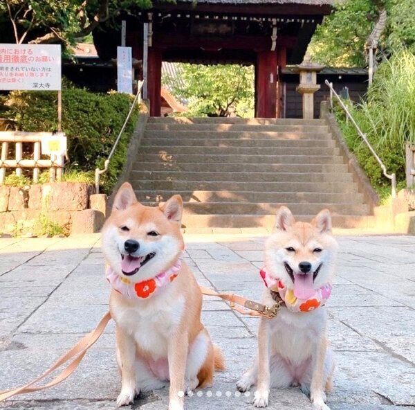 笑顔のにこちゃん、たまちゃん
