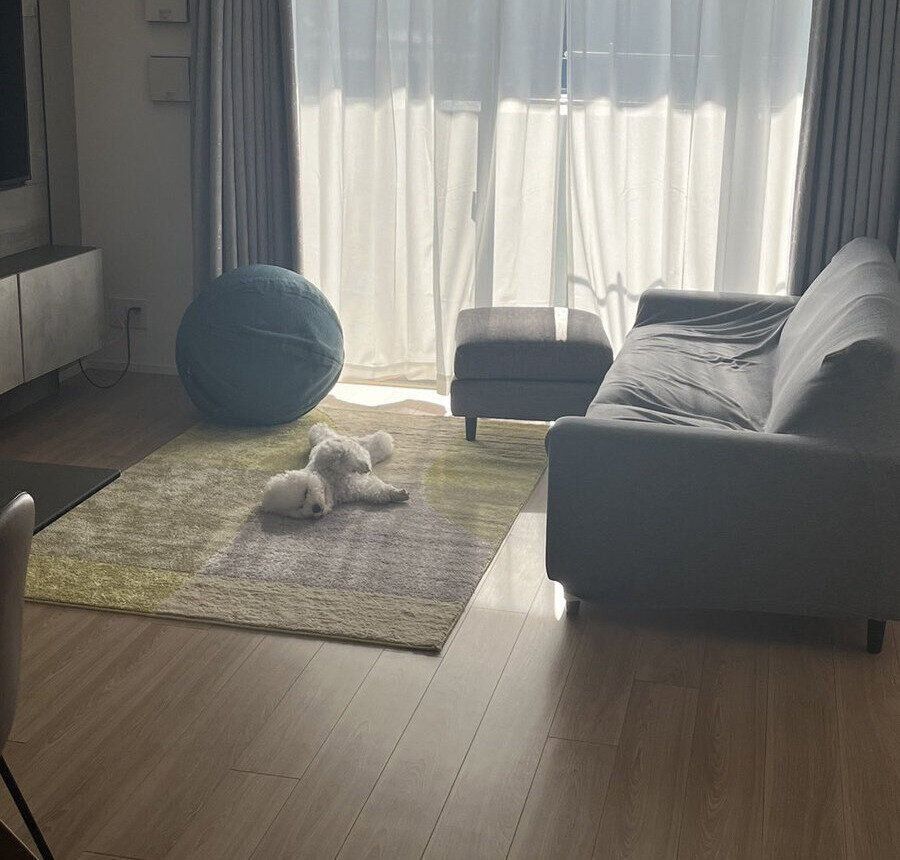 リビングに寝そべるめろちゃん