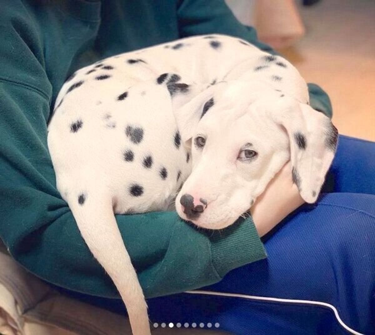 L Esioaxzh101m L Esioaxzh101m