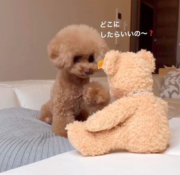 お手をどこにしたらいいか困るパンナちゃん