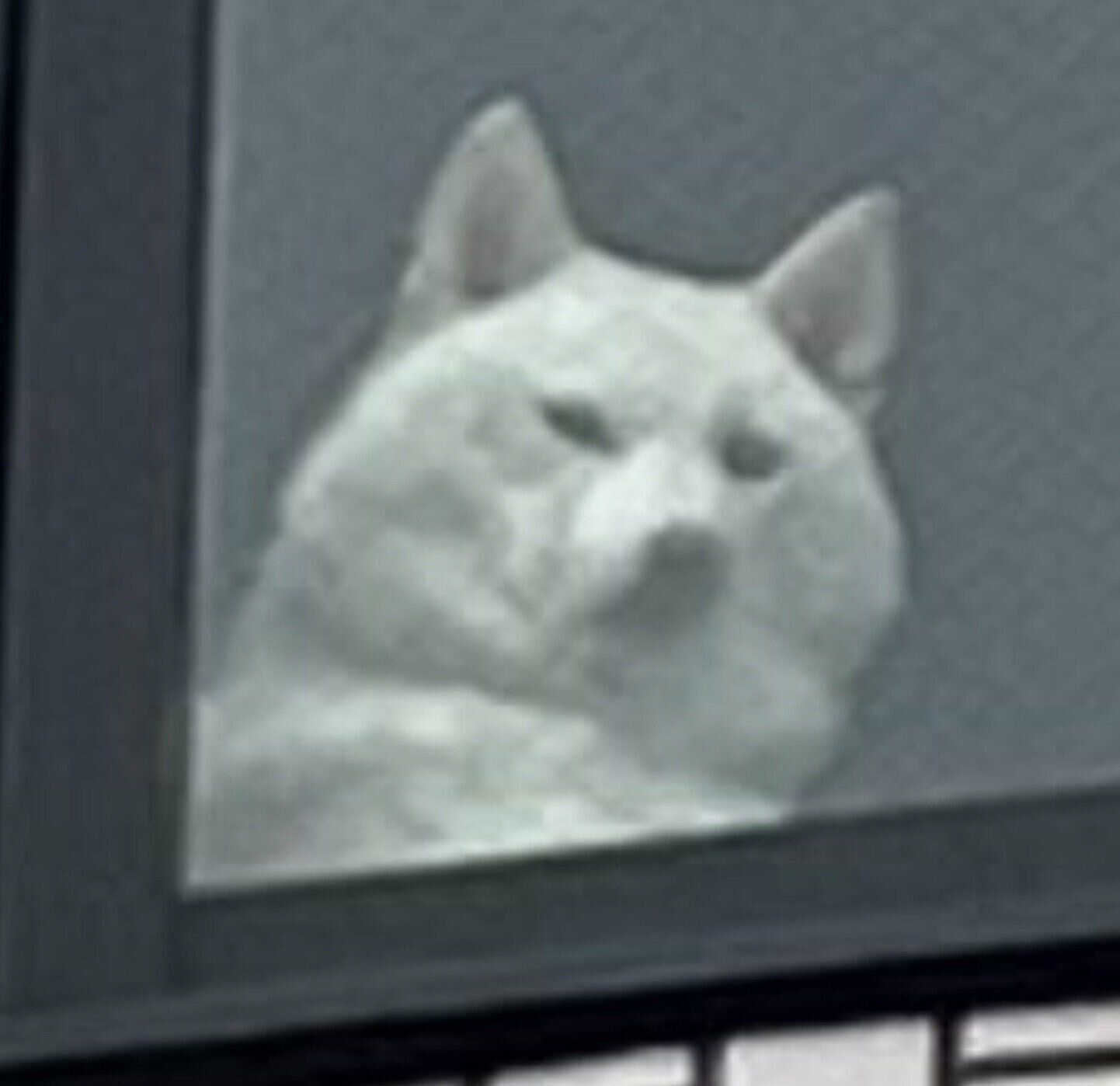 買い物に行く飼い主さんを監視するチョビちゃん