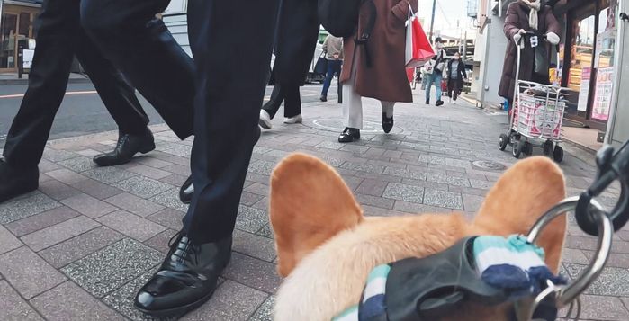 足だらけでまっすぐ歩けない!