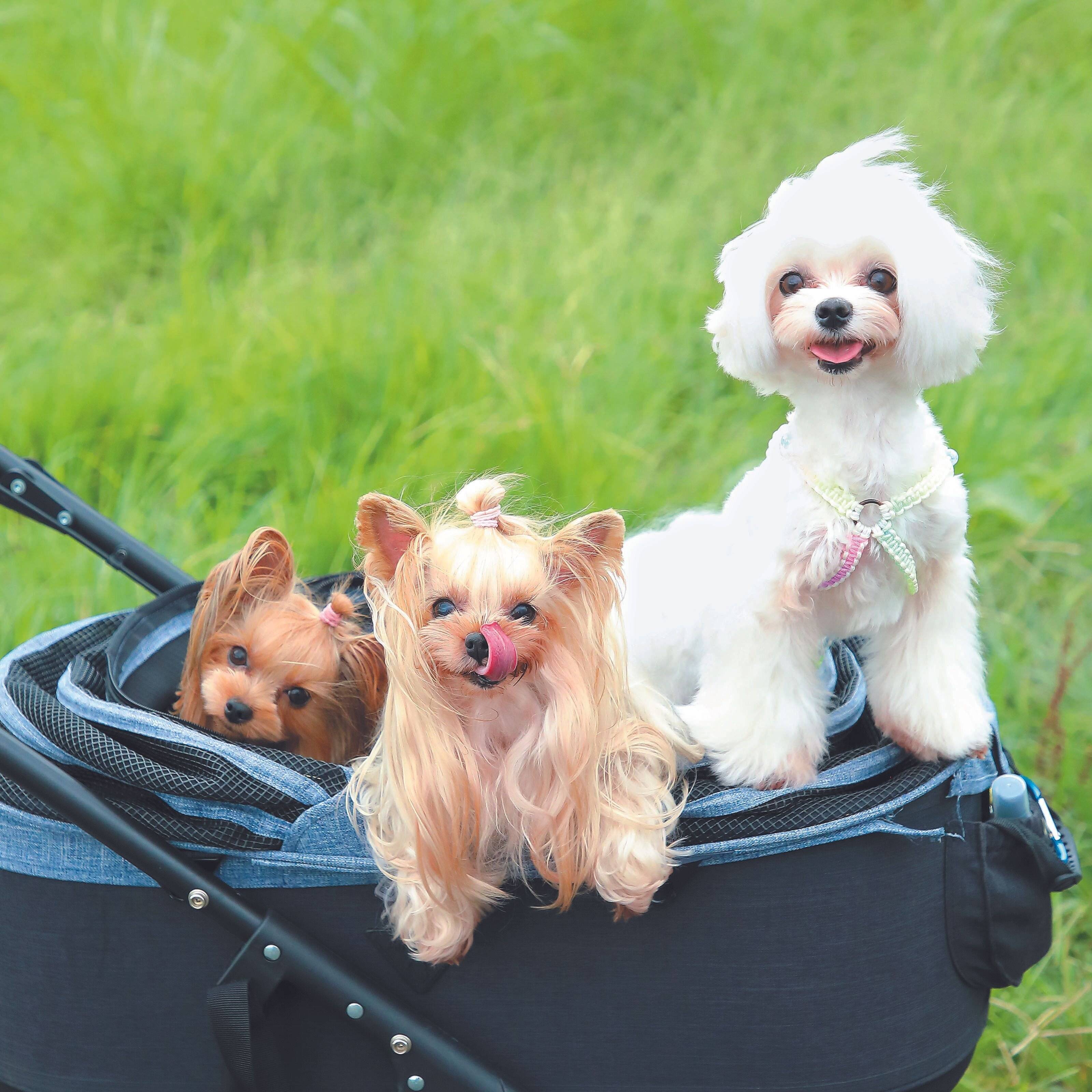 頭数分の費用がかかることを忘れずに！