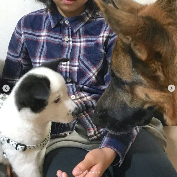 見つめ合うスヌーピーちゃんとバトンちゃん