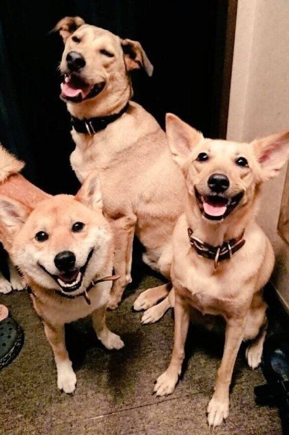 仲良しなココちゃんたち