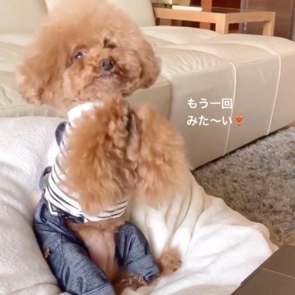 映画鑑賞をするパンナちゃん