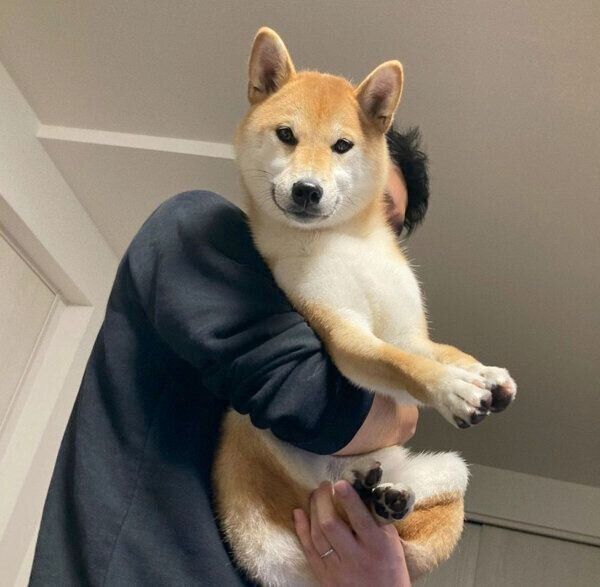 抱っこされるいとさん