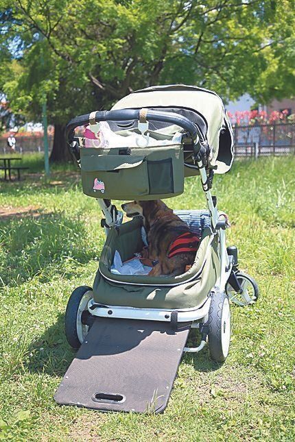 スロープつきの犬用カート