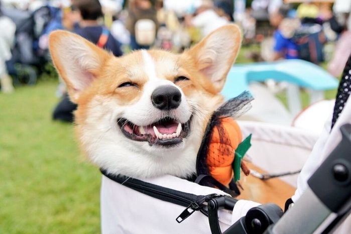 最高の笑顔を見せるくるみちゃん