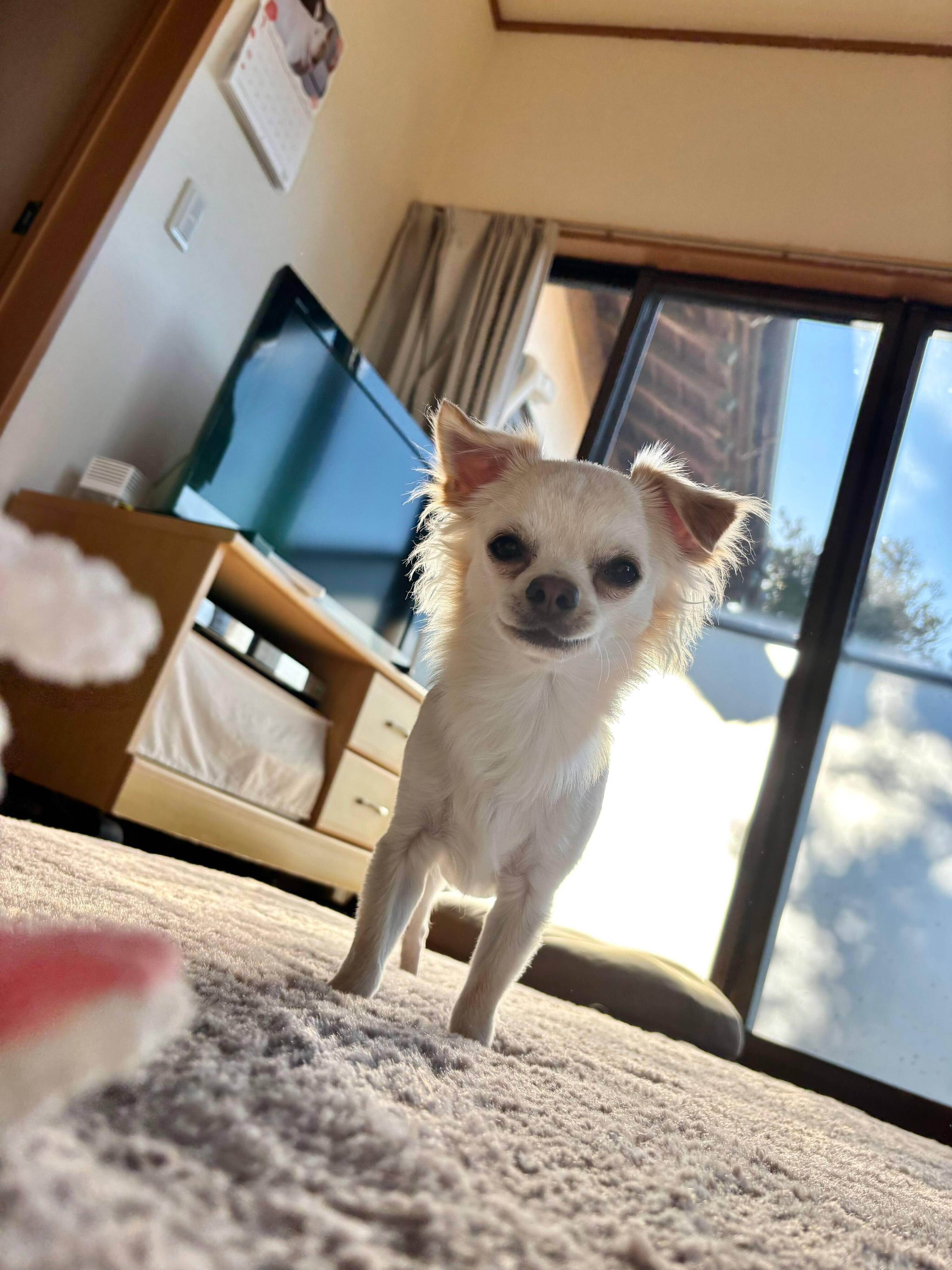 別の日のはるくんの様子