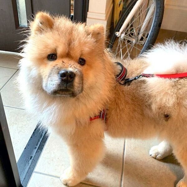 見つめるわたるくん