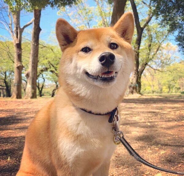 微笑むエマちゃん