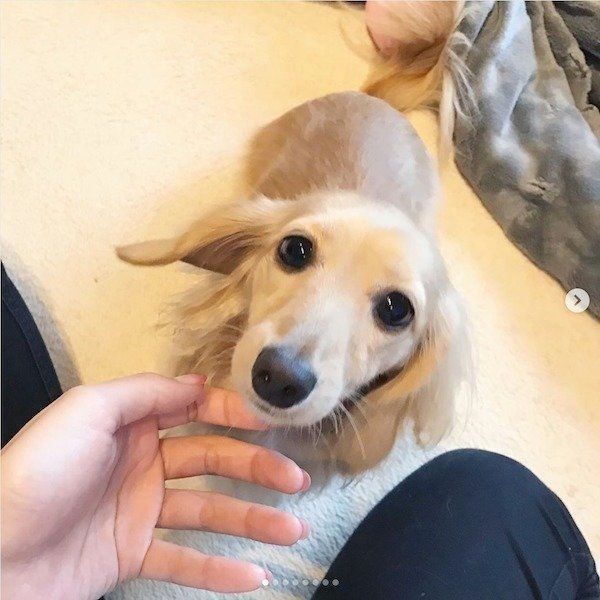 見つめるアムちゃん