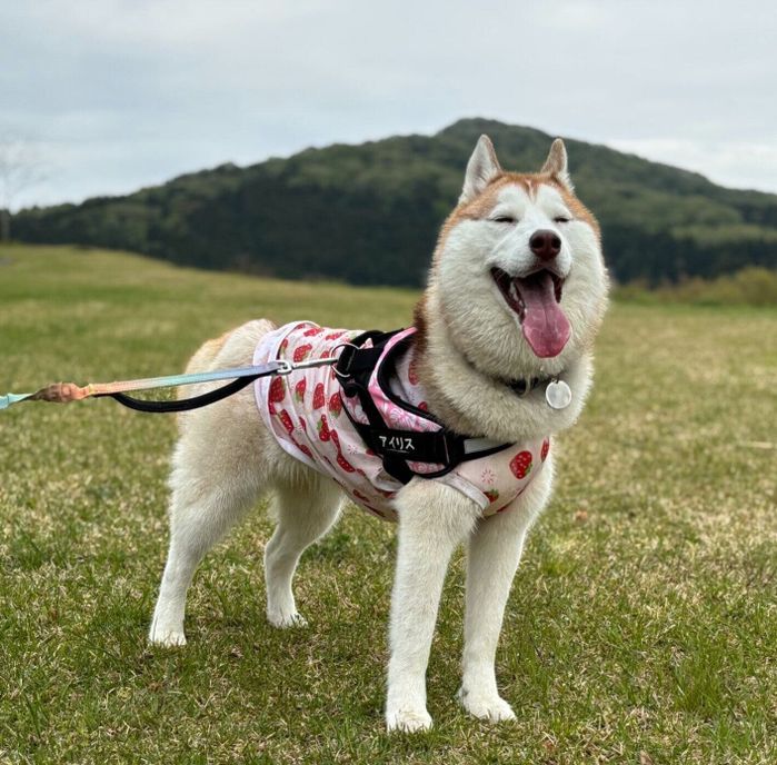 1才になったアイリスちゃん