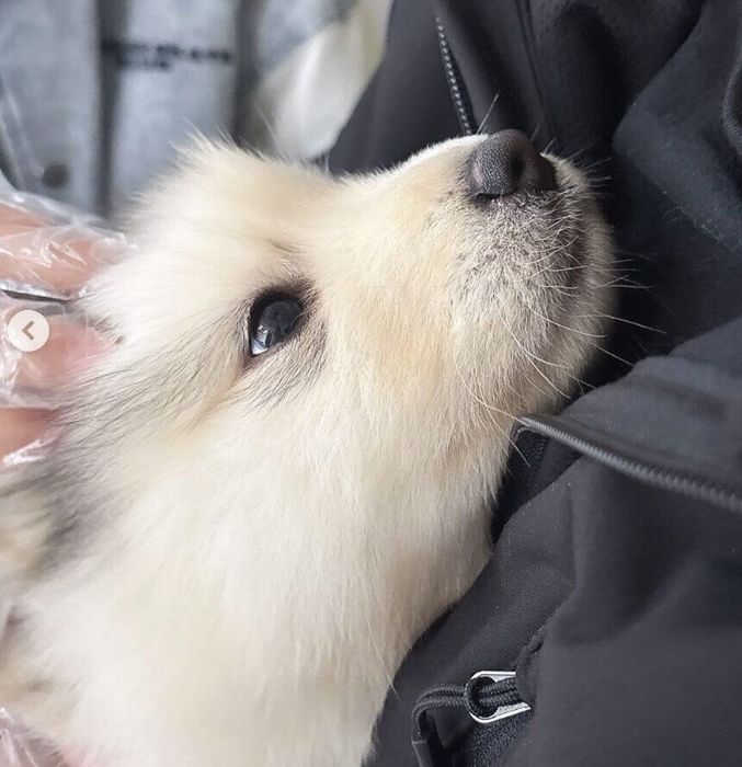 初対面したときのボンボンくん