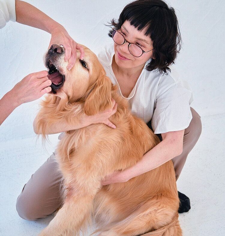 口を開けられる大型犬