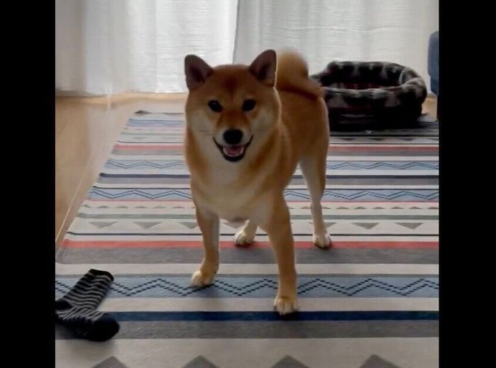 笑顔を見せるおだしくん。
