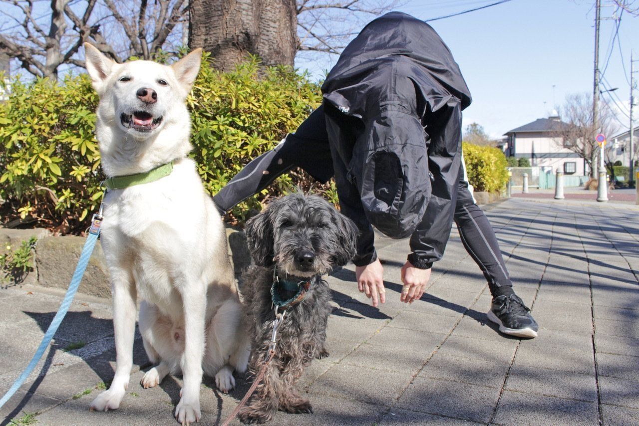 ↑警戒した対象を再現。社会化期のこれでもかという社会化のおかげで、すでにもはや警戒せず