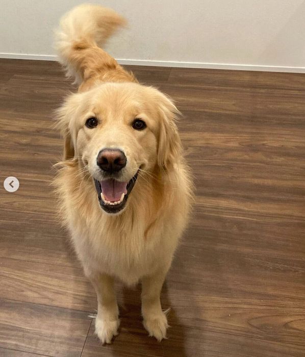 笑顔が可愛いミィちゃん