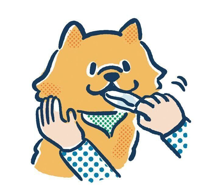 歯磨きシートで慣れさせる