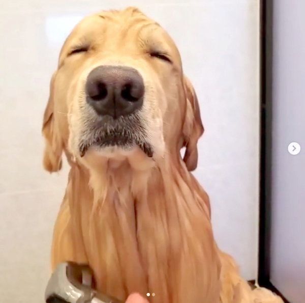 お風呂に入るアランくん