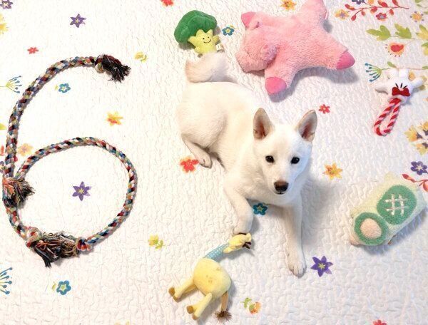 見つめる雪海ちゃん