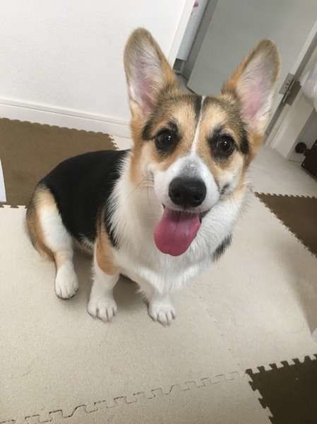 ナジュムちゃん