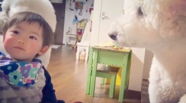 おもちゃの取り合いをするがっくんとむぎくん