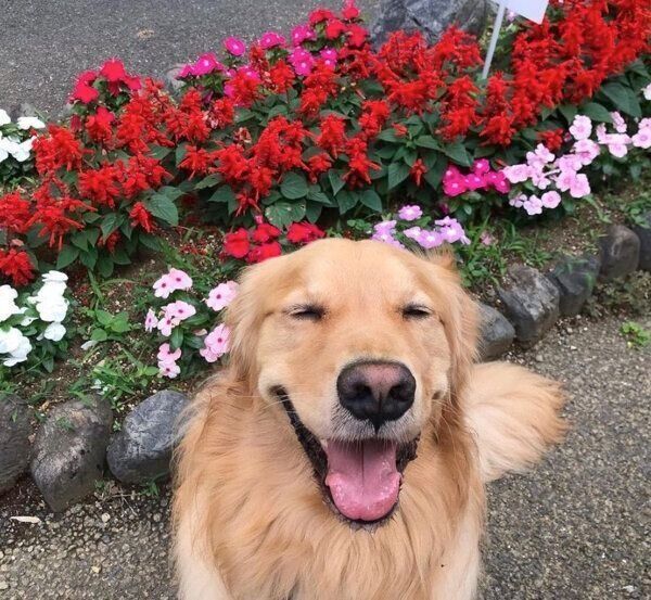 笑顔の佐助くん