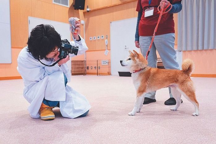 取材当日、センター内のふれあいコーナーで収容犬のエリちゃん(推定6才)を、犬目線の姿勢で撮影する犬丸さん