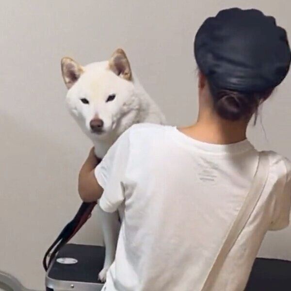 肩からちらりと顔を覗かせるもち吉くん