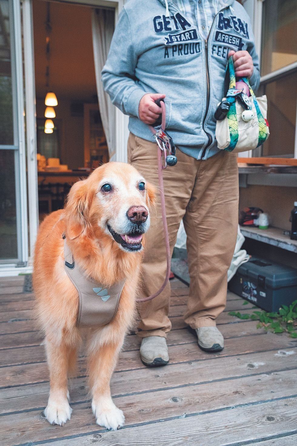 音で飼い主さんの位置を知らせる