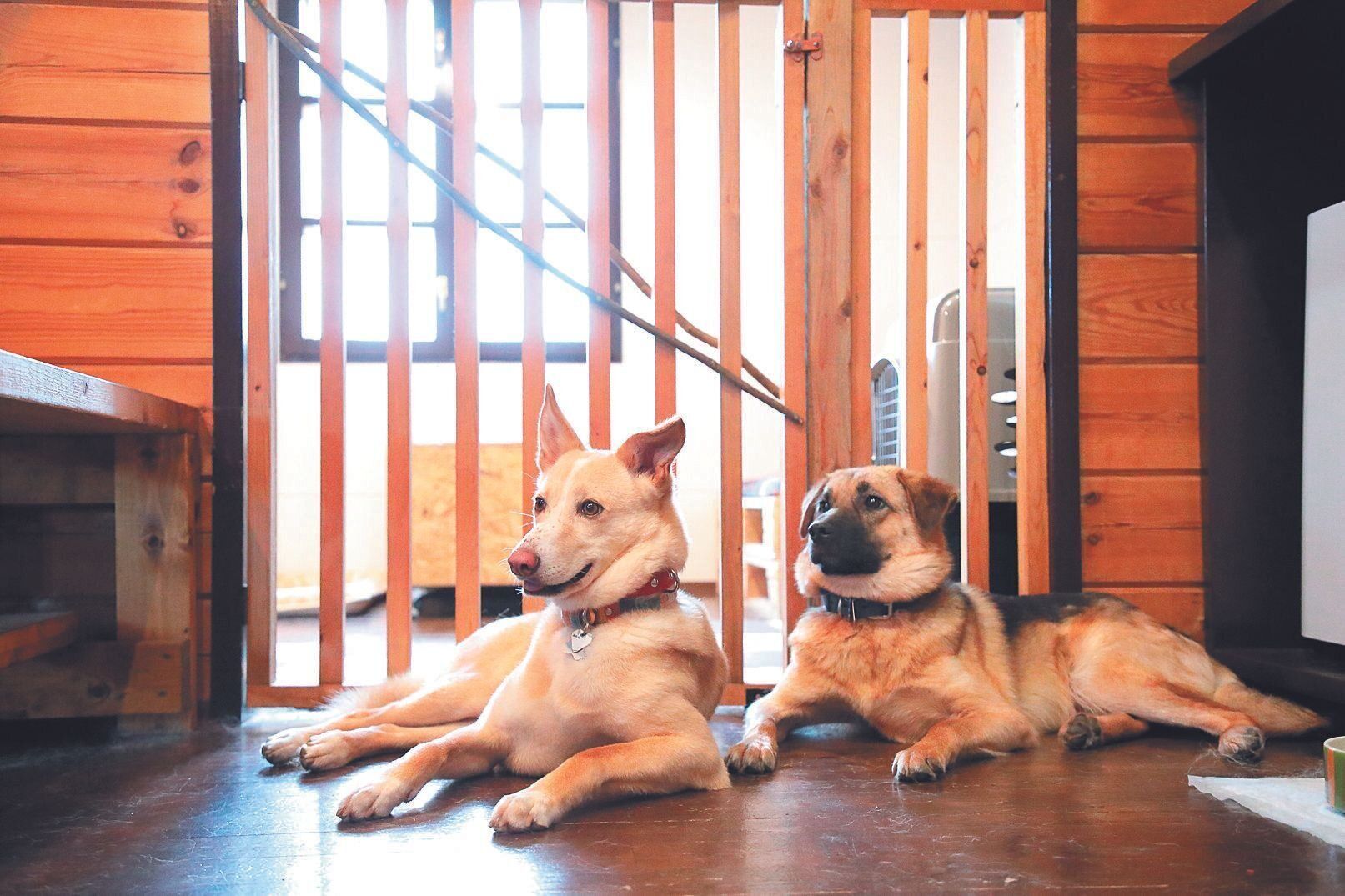 撮影／尾﨑たまき