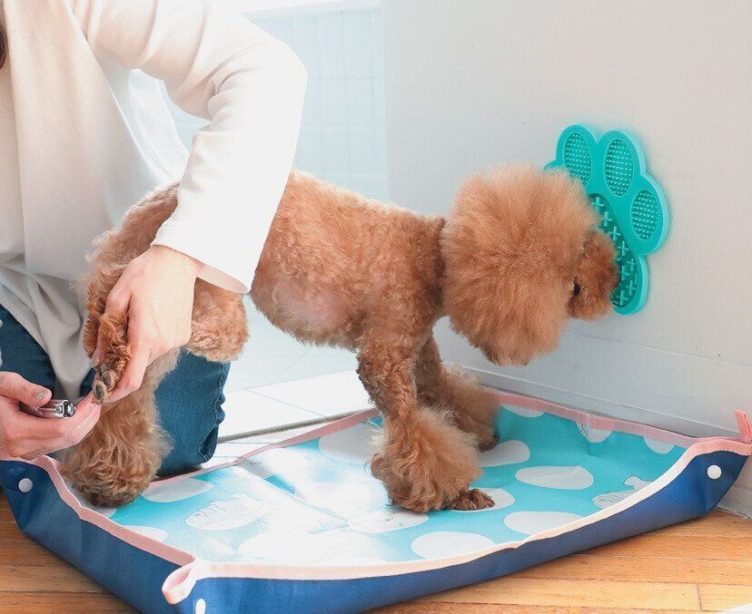 1人のときのコツ