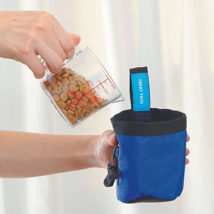 撮影/尾﨑たまき