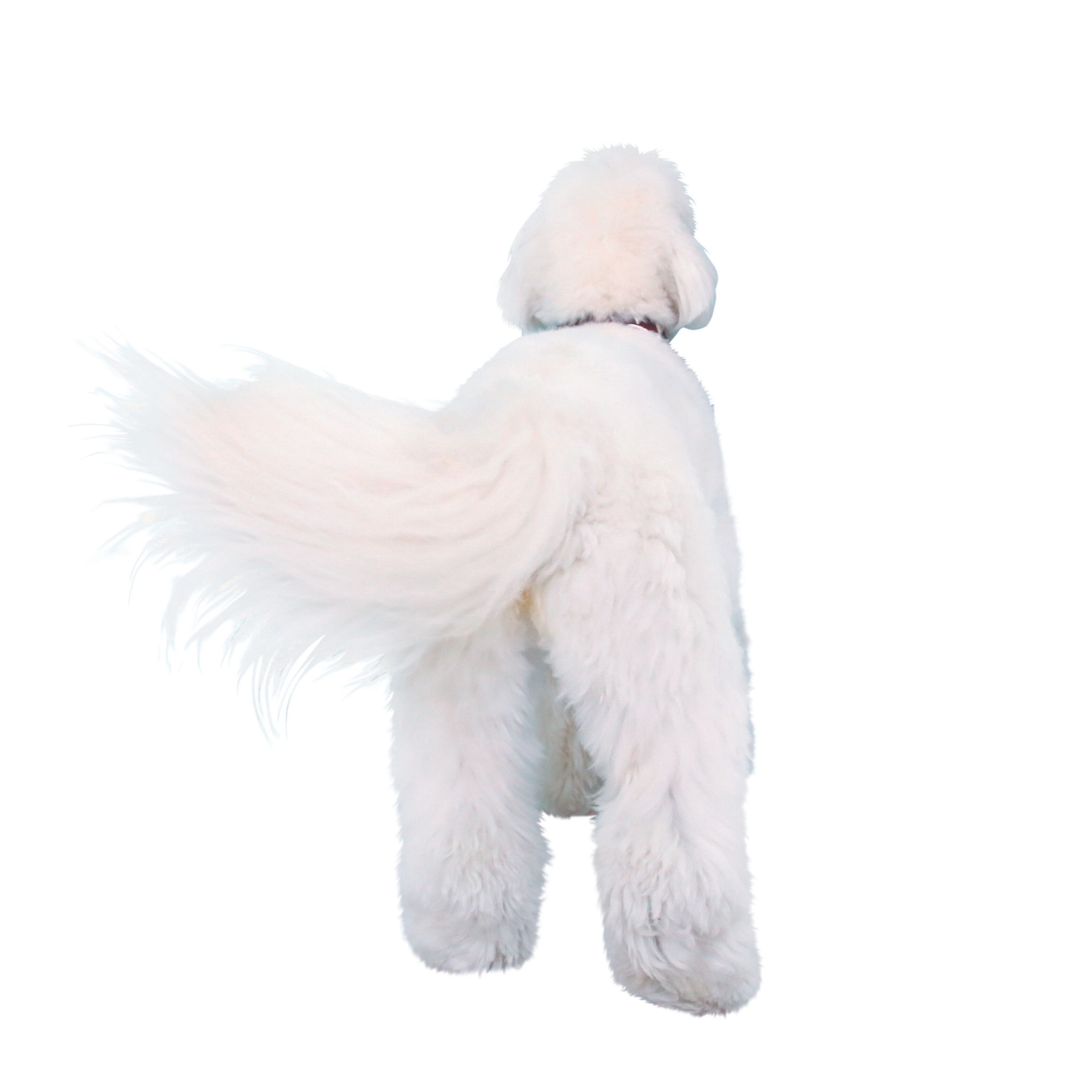 撮影／尾﨑たまき