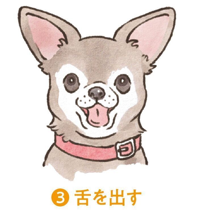 イラスト／フジマツミキ