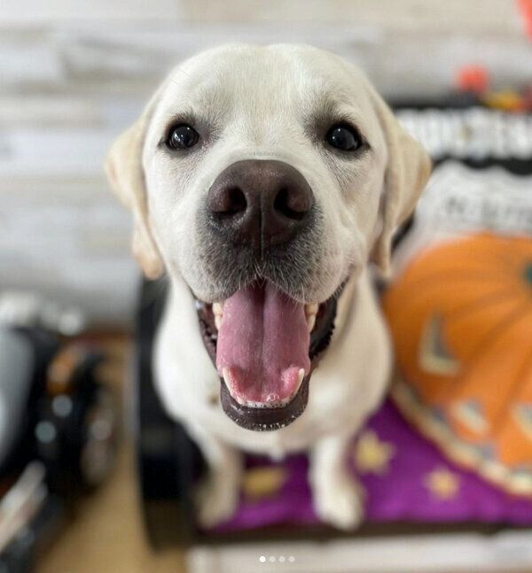 見つめるイソくん