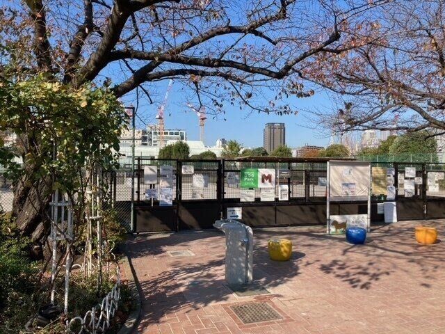 桜に彩られたドッグラン