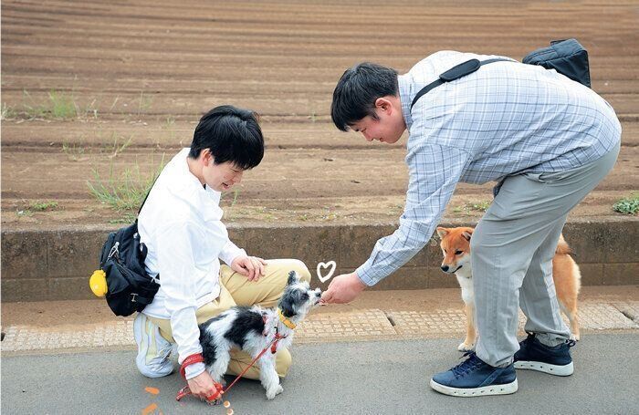 おやつをもらう犬