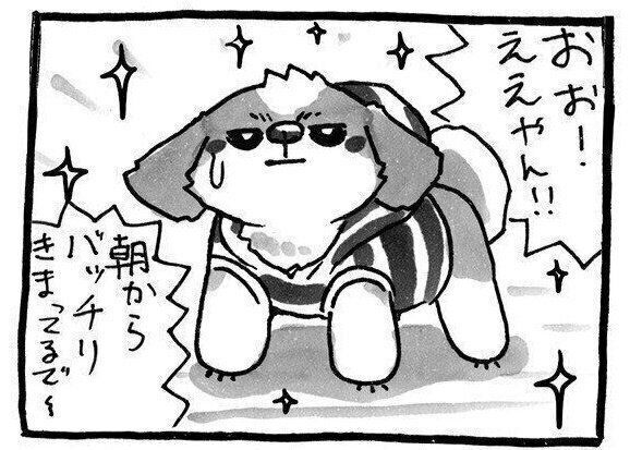 連載「シーズー犬のてんぽ」第74回